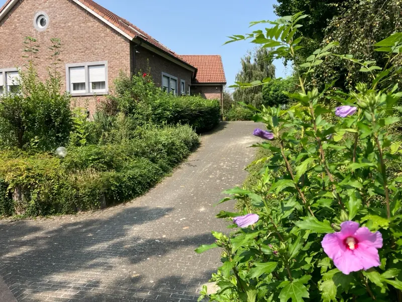 De oprit met bloeiende hibiscus